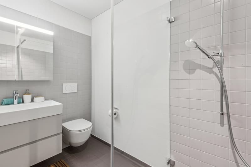 Deux niveaux, 33 m² d'espace extérieur – au cœur de Baden (5)