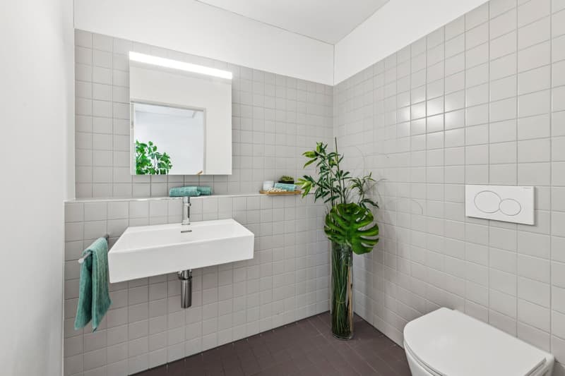 Deux niveaux, 33 m² d'espace extérieur – au cœur de Baden (6)