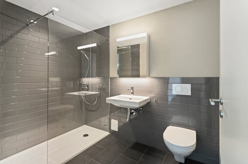 Au-dessus des toits de la vallée de la Limmat – Appartement exclusif de 2,5 pièces avec loggia et vue panoramique (4)