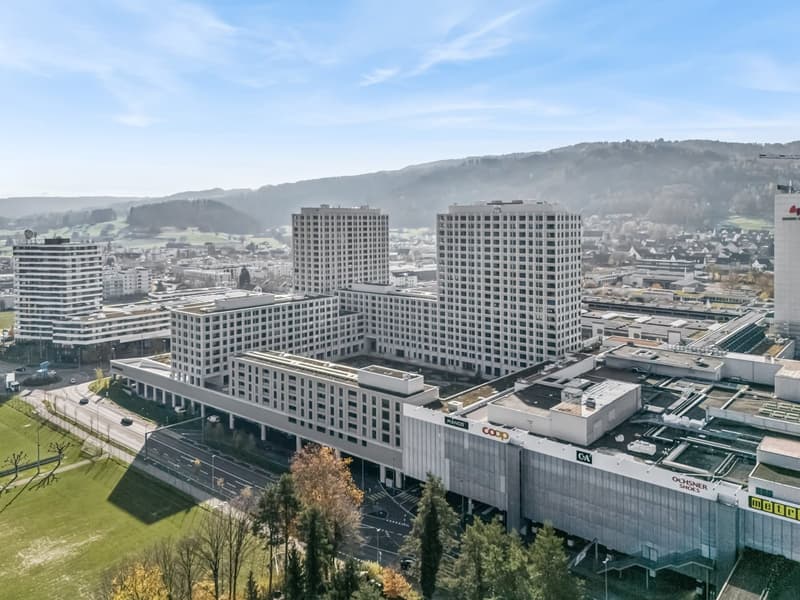 Au-dessus des toits de la vallée de la Limmat – Appartement exclusif de 2,5 pièces avec loggia et vue panoramique (1)