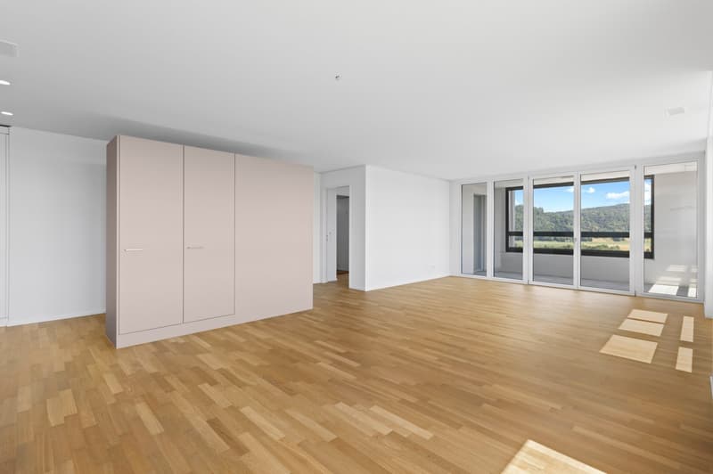 Au-dessus des toits du Limmattal – Appartement exclusif 3.5 pièces avec loggia et vue panoramique (4)