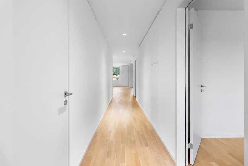 Moderner Neubau in Spreitenbach (7)