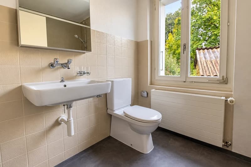 Einfamilienhaus mit Garten in Wohlen mieten (6)