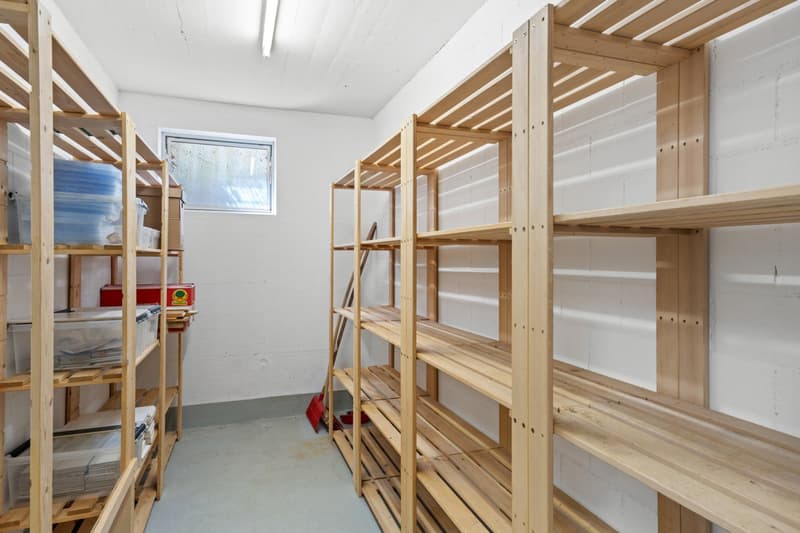 Charming 3-room ground floor apartment in Oberrieden (17)