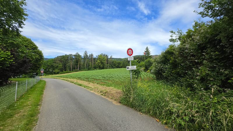 6.5-room single-family house with large garden in Lupsingen (13)