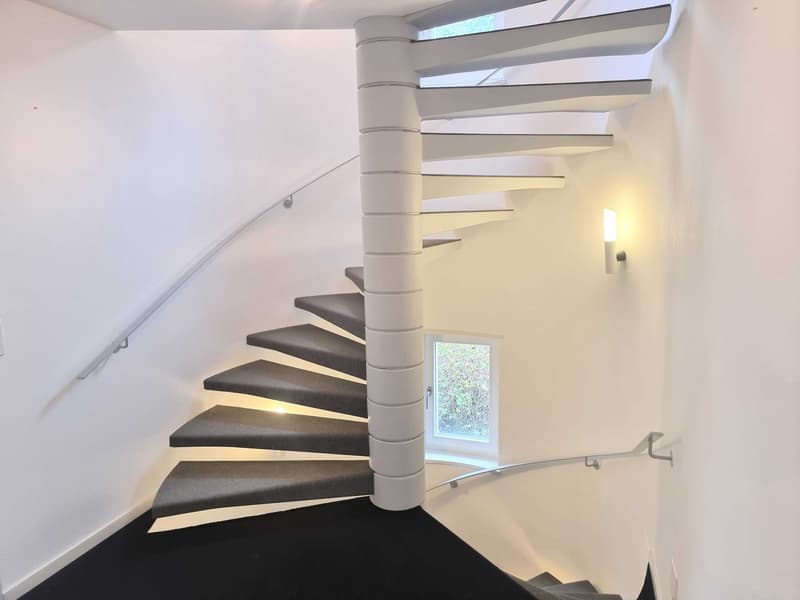 10-room villa with mountain view and winter garden for sale in Riehen (6)