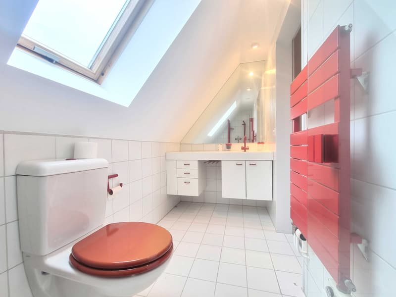 10-room villa with mountain view and winter garden for sale in Riehen (13)