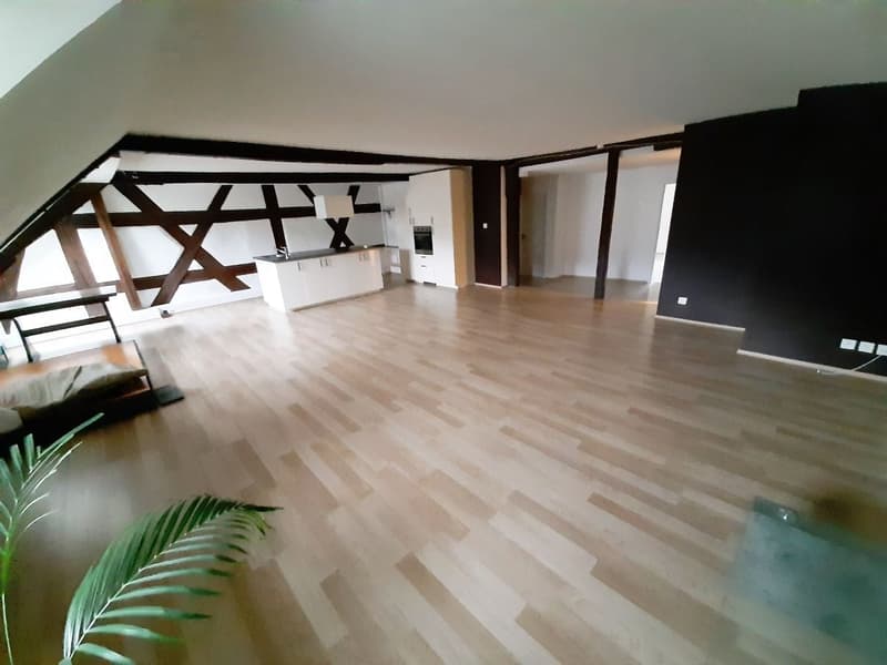 Charme et espace : appartement de 3,5 pièces en location à Kaiserstuhl (1)