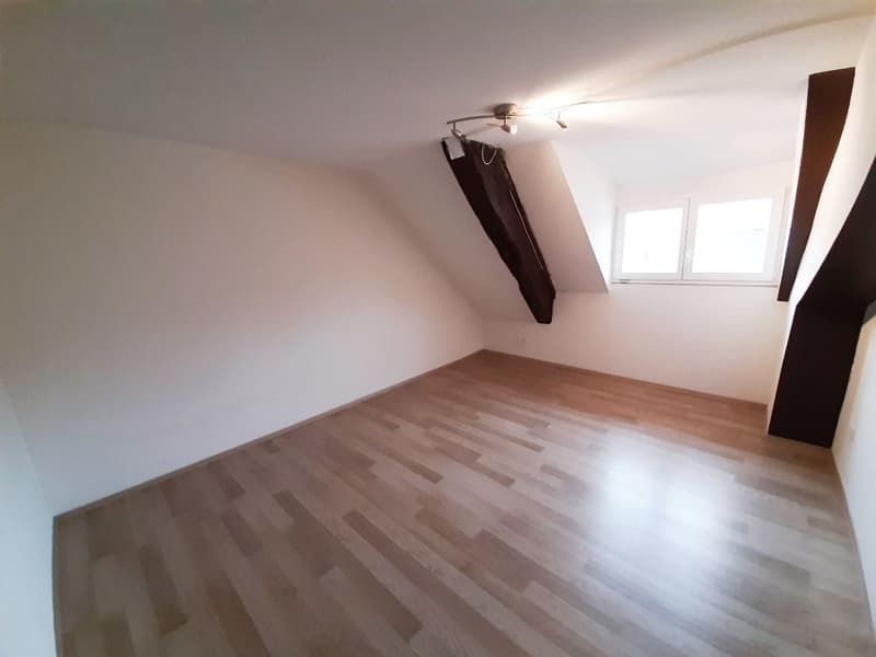 Charme et espace : appartement de 3,5 pièces en location à Kaiserstuhl (3)