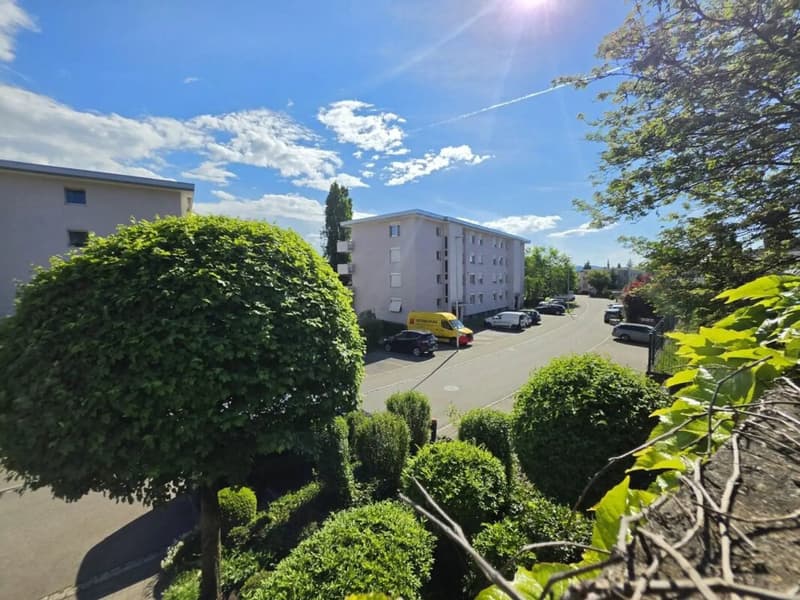 Appartamento giardino 2.5 locali con grande terrazza in vendita a Gossau SG (4)