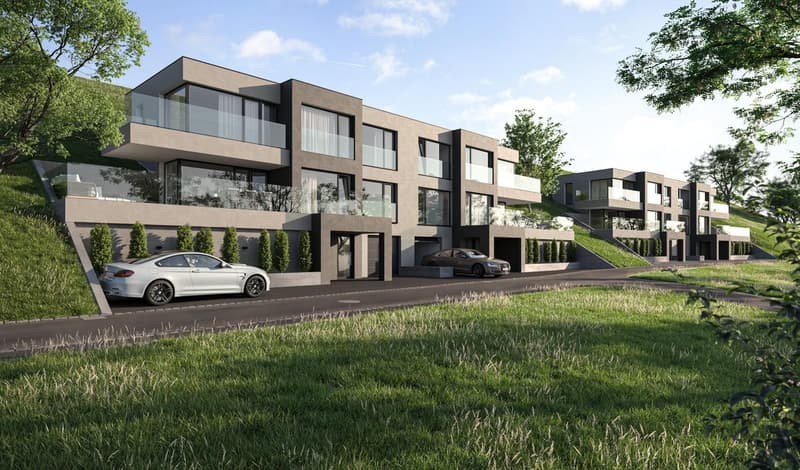 Maison mitoyenne de 4,5 pièces familiale avec terrasse ensoleillée à Zwingen à vendre (2)