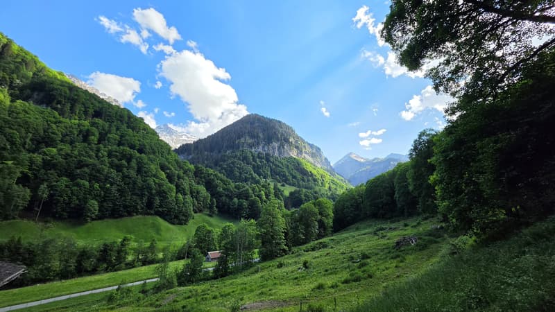 6-Zimmer-Zweifamilienhaus mit Panorama, Schwendi im Weisstannental SG (1)