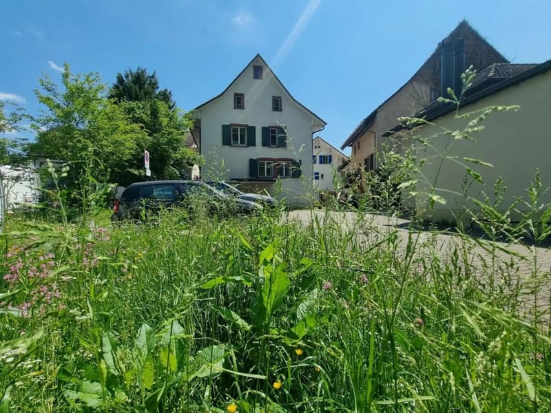 Casa caratteriale a 3 famiglie con potenziale a Hölstein in vendita (7)