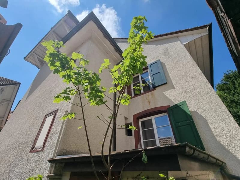Casa caratteriale a 3 famiglie con potenziale a Hölstein in vendita (4)