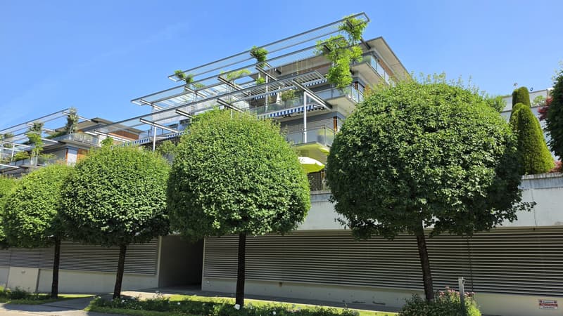 Appartamento 3.5 locali con una terrazza spaziosa di 70 m² a Gossau SG (3)