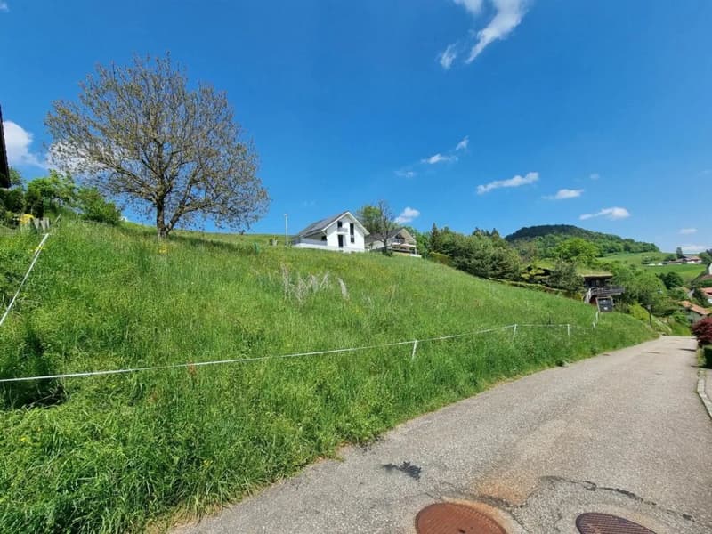 Grosses Baugrundstück mit Weitsicht in Bretzwil kaufen (3)