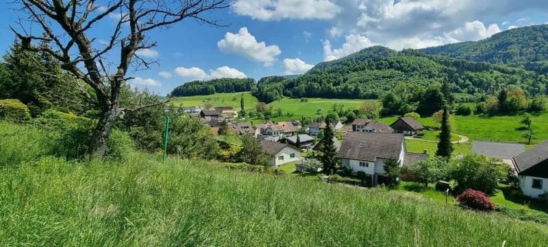 Grosses Baugrundstück mit Weitsicht in Bretzwil kaufen (4)
