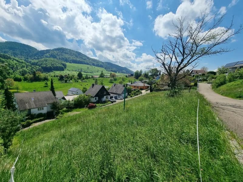 Grosses Baugrundstück mit Weitsicht in Bretzwil kaufen (2)