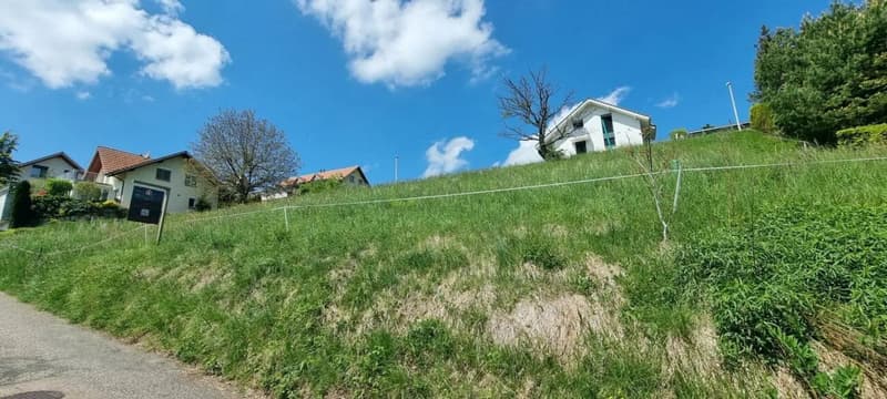 Grosses Baugrundstück mit Weitsicht in Bretzwil kaufen (8)