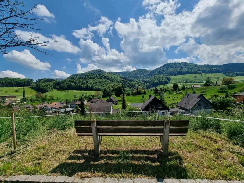 Grosses Baugrundstück mit Weitsicht in Bretzwil kaufen (9)