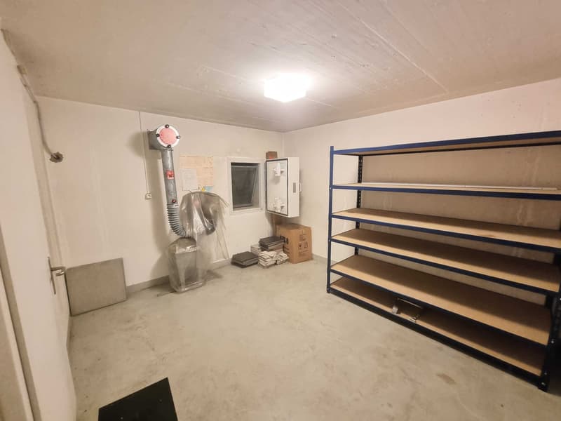 10-Zimmer-Villa mit Bergsicht und Wintergarten in Riehen kaufen (13)