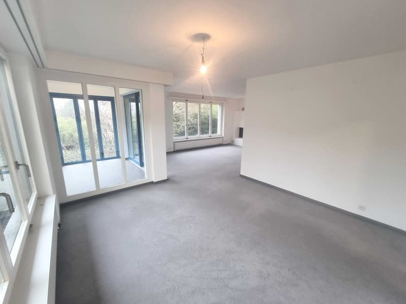 10-Zimmer-Villa mit Bergsicht und Wintergarten in Riehen kaufen (12)