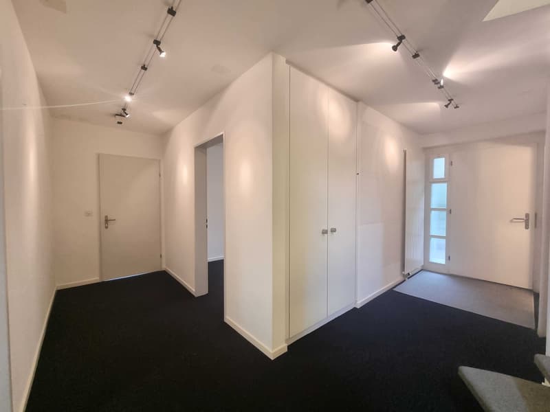 10-Zimmer-Villa mit Bergsicht und Wintergarten in Riehen kaufen (1)