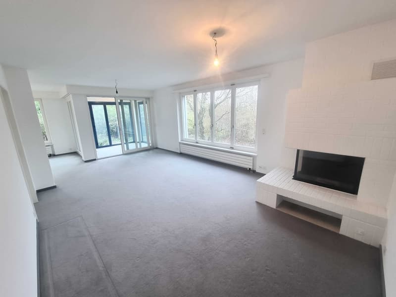 10-Zimmer-Villa mit Bergsicht und Wintergarten in Riehen kaufen (2)