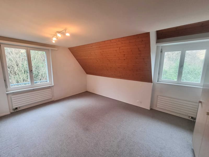 10-Zimmer-Villa mit Bergsicht und Wintergarten in Riehen kaufen (9)