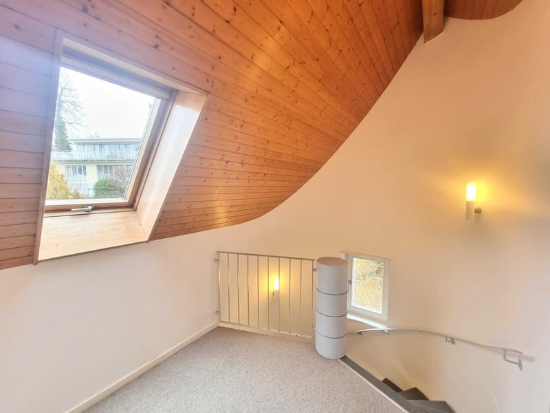 10-Zimmer-Villa mit Bergsicht und Wintergarten in Riehen kaufen (3)