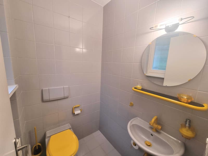 10-Zimmer-Villa mit Bergsicht und Wintergarten in Riehen kaufen (10)