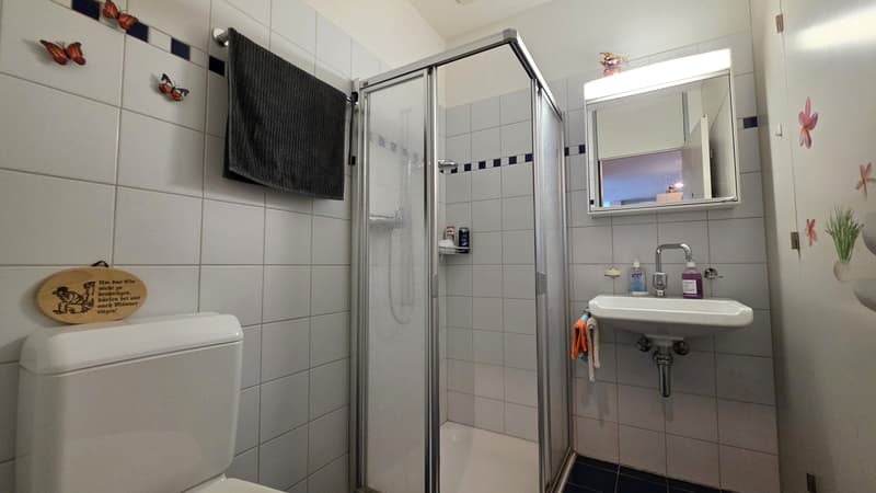 3.5-Zi.-Wohnung mit einer grosszügigen Terrasse von 70 m² in Gossau SG (12)