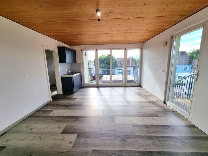 Helles 1-Zimmer-Studio mit Balkon in Wolfwil mieten (4)
