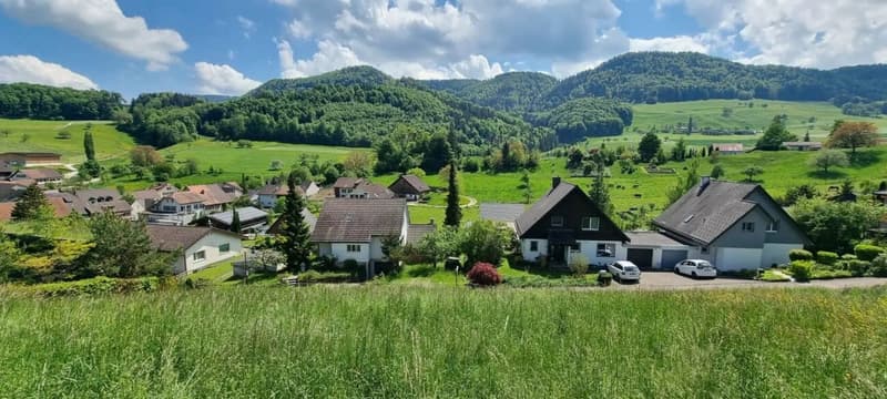 Grosses Baugrundstück mit Weitsicht in Bretzwil kaufen (8)