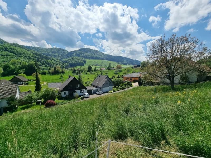 Grosses Baugrundstück mit Weitsicht in Bretzwil kaufen (3)