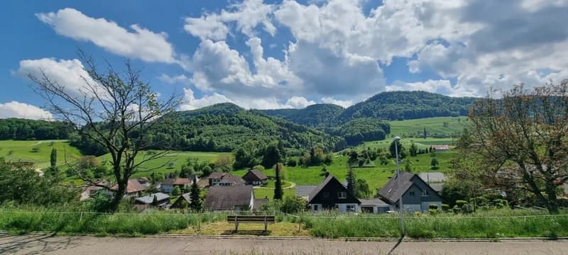 Grosses Baugrundstück mit Weitsicht in Bretzwil kaufen (9)