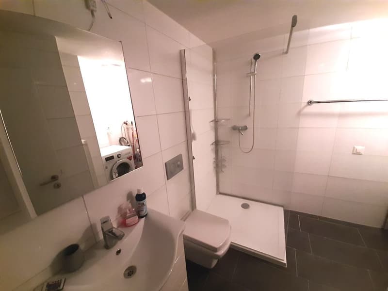 Charme und Raum: 3.5-Zimmer-Dachwohnung in Kaiserstuhl mieten (4)