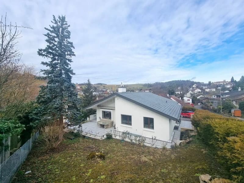 5.5-Zimmer-Villa, frisch renoviert, grosser Garten - Niederdorf kaufen (2)