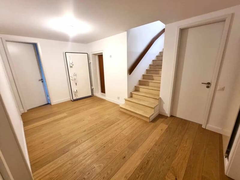 5.5-Zimmer-Villa, frisch renoviert, grosser Garten - Niederdorf kaufen (13)