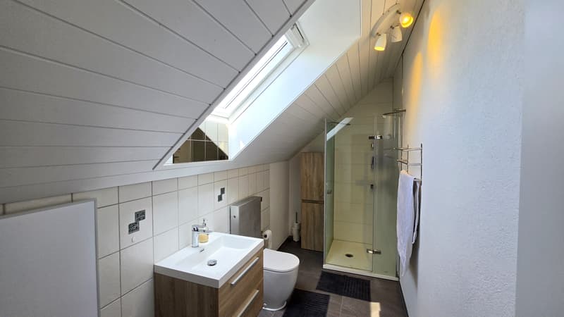 5.5-Zi.-Doppeleinfamilienhaus mit Wintergarten in Diegten kaufen (13)