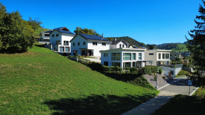 Modernes 5.5-Zi.-Einfamilienhaus mit Aussicht in Reigoldswil (3)