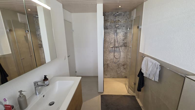 Modernes 5.5-Zi.-Einfamilienhaus mit Aussicht in Reigoldswil (13)