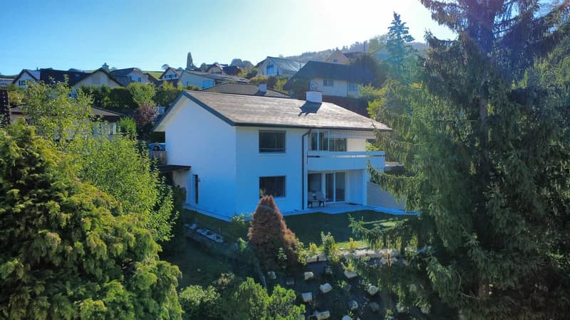 Familienfreundliches 5.5-Zi.-Einfamilienhaus in Niederdorf kaufen (1)