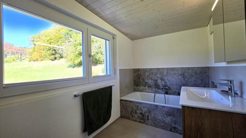 5.5-Zimmer-Einfamilienhaus mit Blick ins Grüne in Reigoldswil (8)