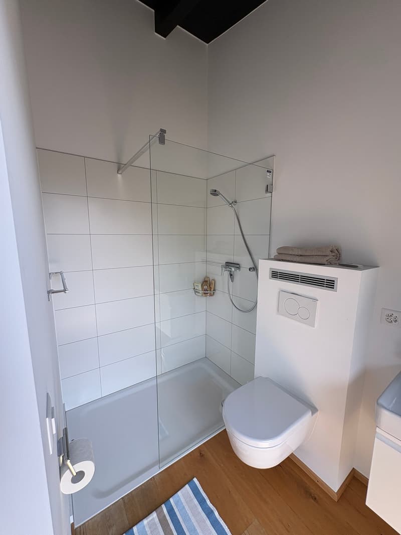 Savièse (VS) Magnifique attique de deux chambres en suite avec vue panoramique sur les montagnes (12)