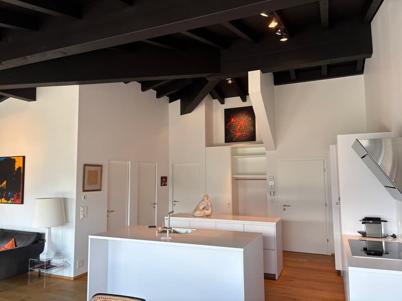 Savièse (VS) Magnifique attique de deux chambres en suite avec vue panoramique sur les montagnes (7)