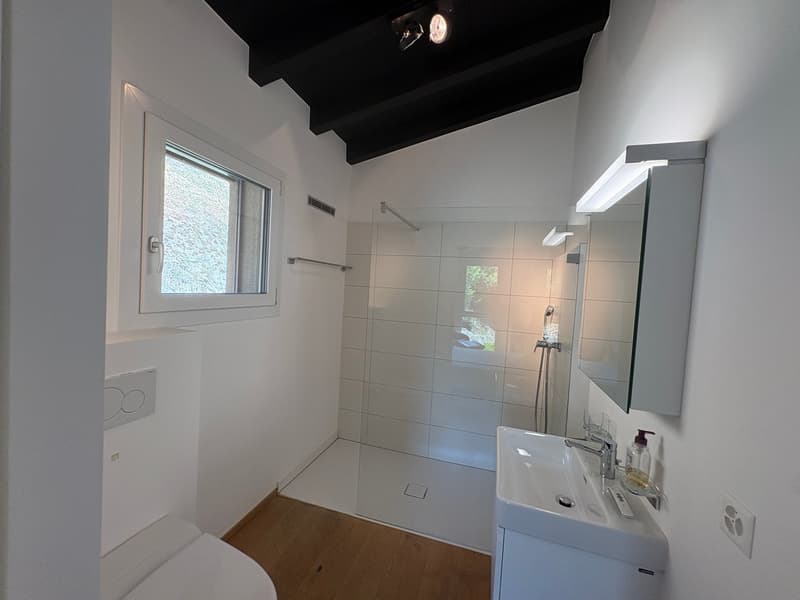 Savièse (VS) Magnifique attique de deux chambres en suite avec vue panoramique sur les montagnes (10)