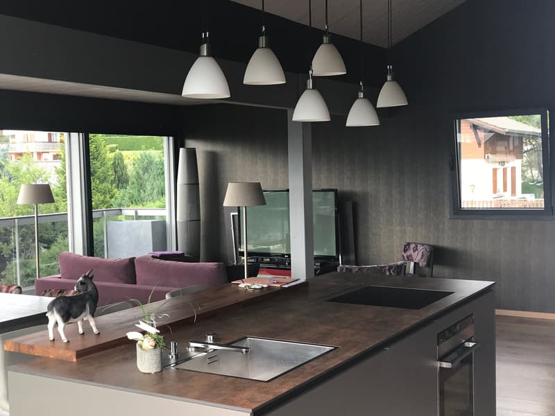 Magnifique appartement en attique de 4.5 pièces à Pont-la-Ville (6)