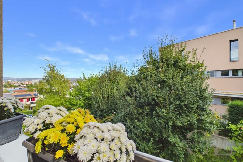 5.5 Zimmer-Wohnung an unverbaubarer Lage mit zwei Einstellplätzen (23)