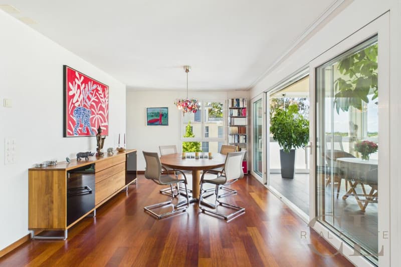 5.5 Zimmer-Wohnung an unverbaubarer Lage mit zwei Einstellplätzen (6)